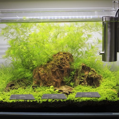 20pcs Fish Tank Undergravel Filtration System Fish 10 Gallon Tank Divider Fish Tank Stand Under Gravel Substrate for Black Fish Tank Bottom Grid