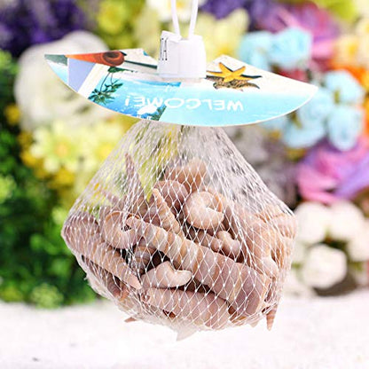 50 Pcs Medium Sea Shells Natural Seashells for Fish Tank, Home Decorations, Beach Theme Party, Wedding Decor, DIY Crafts, Fish Tan