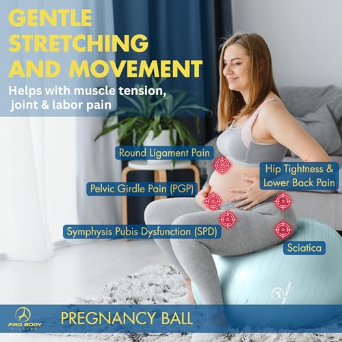 ProBody Pilates Pregnancy Ball with Guide - Birthing Ball - color: Mist, size: 65 cm: 5'1" - 5'10"