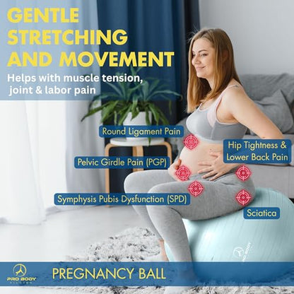 ProBody Pilates Pregnancy Ball with Guide - Birthing Ball - color: Mist, size: 65 cm: 5'1" - 5'10"