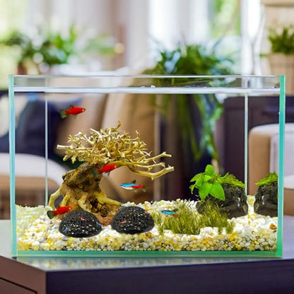 2 Pack Aquarium Shrimp Hide Cave, Porous Shrimp Hideout Shelter for Breeding & Molting, Detachable Tunnel Ornament for Fish Tank, Shrimp & Small Fish (Black)