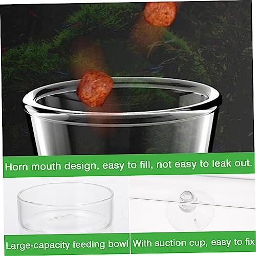 1set Shrimp Feeder with Shrimp Tray Glass Aquarium Device for Fish Tanks High Design for Enhanced Aesthetics - size: 6X6X25CM