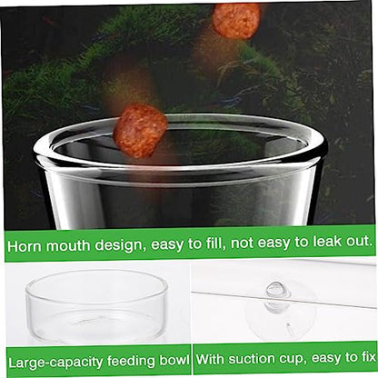 1set Shrimp Feeder with Shrimp Tray Glass Aquarium Device for Fish Tanks High Design for Enhanced Aesthetics - size: 6X6X25CM