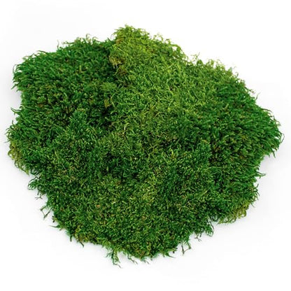 Galápagos (05248) Sheets of Real Moss, 8-Quart, Natural,Green (Pack of 6) - size: 8 quarts (Pack of 6)