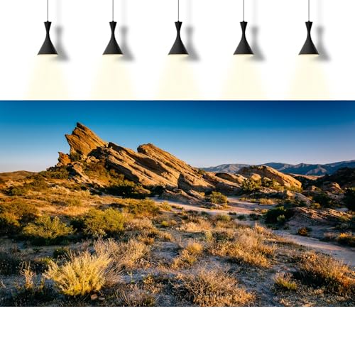 Desert Reptile Tank Background Evening Light on Rocks Terrarium Background Sunset Desert Rocky Bush Thorns Reptile Enclosure Backgrounds Desert Gobi Bearded Dragon Tank Aquarium Backgrounds 30x18in - color: Gobi Gold, size: 30(W)x18(H)inches/ 75(W)*45cm(H