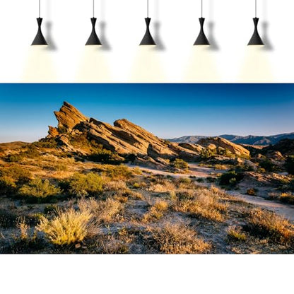 Desert Reptile Tank Background Evening Light on Rocks Terrarium Background Sunset Desert Rocky Bush Thorns Reptile Enclosure Backgrounds Desert Gobi Bearded Dragon Tank Aquarium Backgrounds 30x18in - color: Gobi Gold, size: 30(W)x18(H)inches/ 75(W)*45cm(H