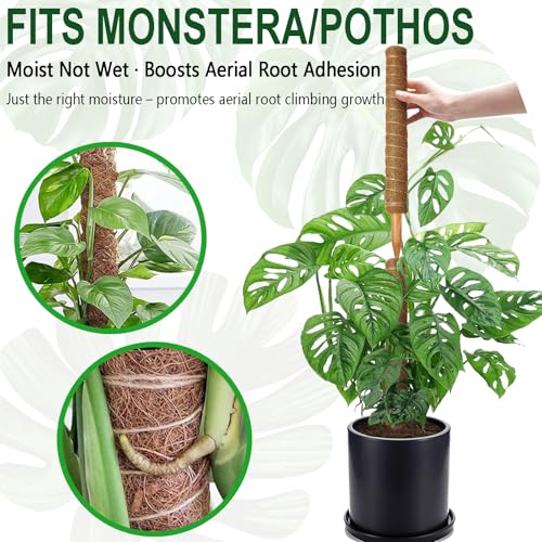 4 Pack 22 Inch Stackable Moss Pole - Thick & Sturdy Natural Coir Totem Plant Support & Garden Stakes for Monstera & Pothos, Indoor Climbing Vining Houseplants, 70" H Max