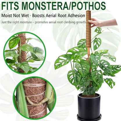 2 Pack 22 Inch Stackable Moss Pole - Thick & Sturdy Natural Coir Totem Plant Support & Garden Stakes for Monstera & Pothos, Indoor Climbing Vining Houseplants, 38" H Max - color: 2*22 inch