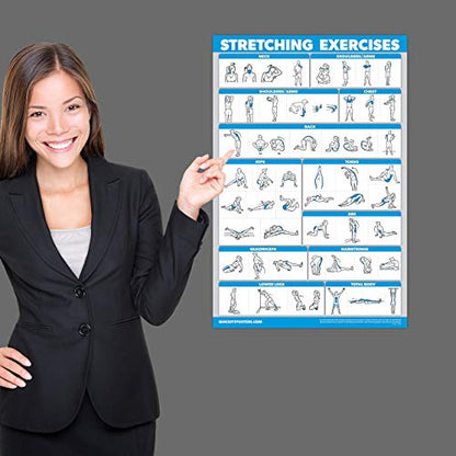 Palace Learning QUICKFIT Stretching Workout Exercise Poster - Stretch Routine (Laminated, 18" x 24")
