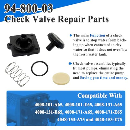 94-800-03 Repair Parts with Gaskets for 4008 Pump Check Valve Model