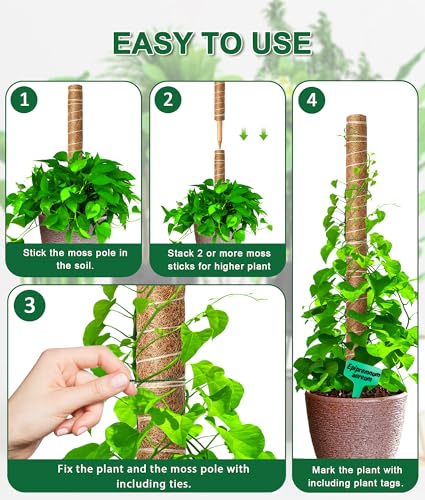 Moss Pole 126 Inch, 6 Pack 21" Monstera Plant Support for Climbing Potted Live Plants Indoor, Stackable Coco Coir Moss Sticks Monstera Stakes for Pothos Philodendron, with Garden Labels & Ties
