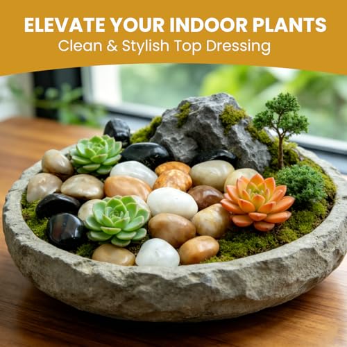 1-2 Inch Polished River Rocks, Decorative Stones for Indoor Plants, Vase Filler, Fish Tank & Aquarium, Garden Landscaping, Mixed, 6LB