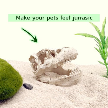 Mini T-Rex Skull Aquarium & Reptile Tank Decor – Dinosaur Fossil Hideout for Fish, Geckos, Hermit Crabs, and Terrariums – Small Resin Jurassic Decoration for Aquascape, Vivarium, or Pet Habitat