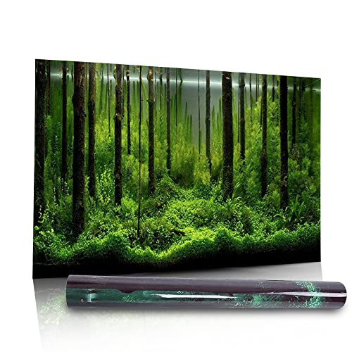Fish Stickers Wallpaper, PVC Adhesive Undersea Backdrop Seaweed Aquarium Background Decoration Water Plants Fish Background - size: 76*46cm