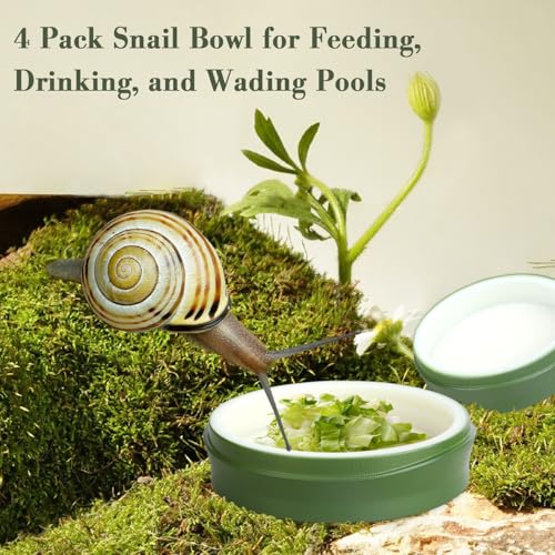 4 Pack Snail Water and Food Bowl with Tweezers, Shallow Feeder Dish for Terrarium Kit, 0.4-0.8 Inch Depth Enclosure Accessories for Hermit Crab and Reptiles