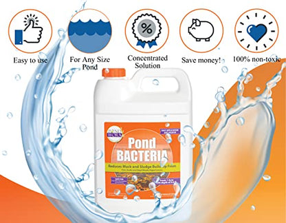 PondWorx Pond Bacteria - Formulated for Large Ponds, Water Features and Safe for Koi - Gallon - size: 1 Gallon (128oz)