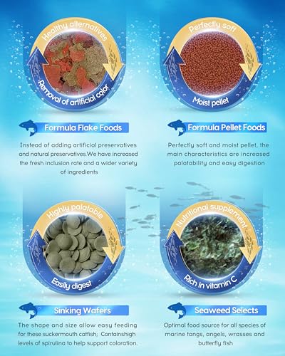 Ocean Nutrition Fish Feeder Seaweed Clips for Saltwater Fish - Aquarium Suction Cups, Holds Food Intact, Prolongs Feeding Process, Pack of 36 for Tangs, Rabbitfish, Marine Angelfish, Wrasses, Damsels - size: 1 Count (Pack of 36)