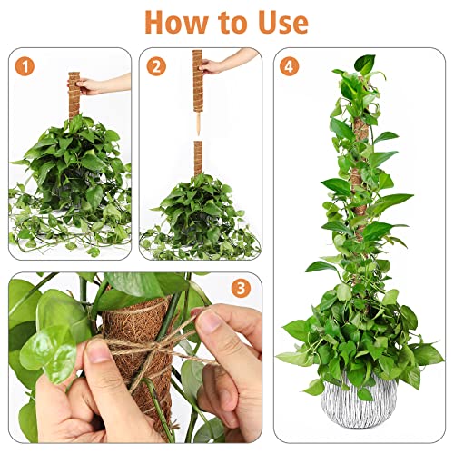 【4 Pack】 JJGoo Moss Pole, 17 inch Coco Coir Totem Poles Extending to 53 Inches, Plant Support Stick Plant Poles for Indoor Plants Climbing Plants Monstera, Sphagnum, Pothos