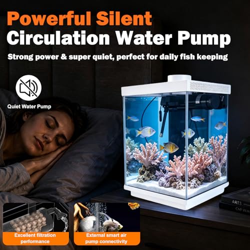 5 Gallon Smart Aquarium Kit, APP Control, Auto Feeder, LED Light, Self-Cleaning Filter, Glass Desktop Tank for Betta/Tetra/Goldfish, Dual-Tank Feeding Supported, Divider Not Included