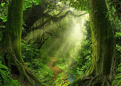 Enchanted Forest Backdrop 7x5ft Green Trees Outdoor Jungle Forest Backdrops for Photography Fairytale Nature Rainforest Sunset Party Decorations Background Kids Baby Photo Props Vinyl