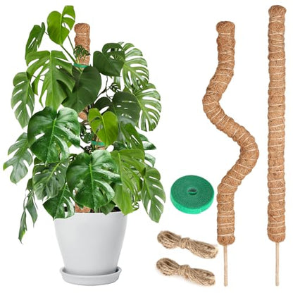 Moss Pole Monstera Plant Support, 2 Ft, 2 Pack Sustainable Coir Bendable Moss Pole Stakes, Plant Sticks for Climbing Vines, Pothos, Potted, Comes with Velcro Tape and Hemp Rope