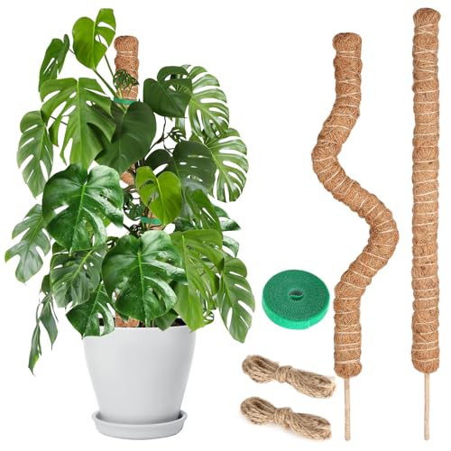 Moss Pole Monstera Plant Support, 2 Ft, 2 Pack Sustainable Coir Bendable Moss Pole Stakes, Plant Sticks for Climbing Vines, Pothos, Potted, Comes with Velcro Tape and Hemp Rope