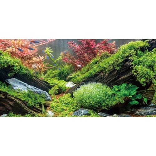 AWERT 60x24 inches Seagrass Aquarium Background Pink Aquatic Plant Stone River Bed & Lake Fish Tank Background Vinyl Background