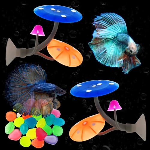 2 Pcs Betta Fish Mushroom Hammock with 30 Luminous Stone, Soft Silicone Aquarium Rest Bed with Suction Cup Colorful Lifelike Mushroom Tank Decor Fish Breeding Playing Pad for Aquarium Fish Tank (Blue)