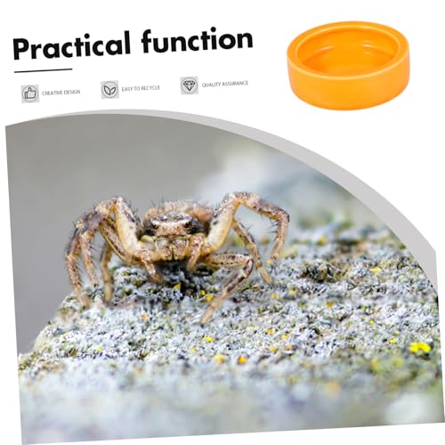 Shrimp Feed Dish Medium Escape Feeder Bowl for Fish Reptiles and Small Pets Durable Orange Round Water Basin for Aquatic and Terrestrial Use