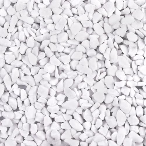 5lb River Rocks Polished Silica Gravel for Plants Garden, Decorative Pebbles Ideal for Fish Tank, Vases, Succulents, Crafting, Home Decor and Garden Landscaping, Snow White(0.2-0.3”) - color: White Large, size: 5LB
