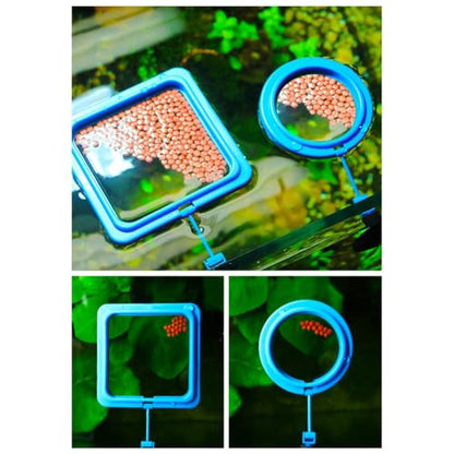 2pcs Fish Tanks Feeding Rings Small Fishes Feeders Rings Circle Buoyance Fish Feeders for Easy Installation and Cleaning