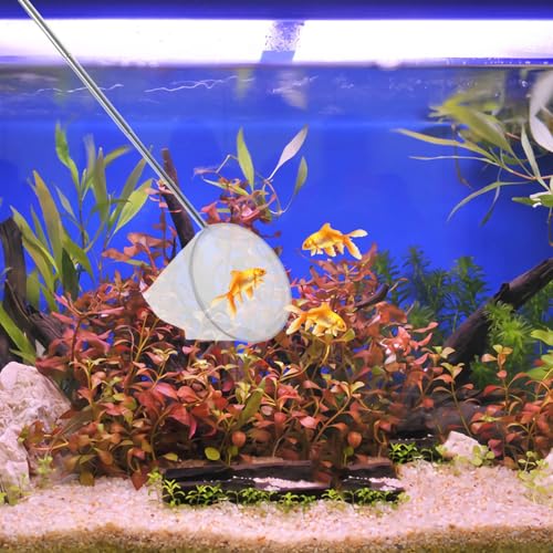 POPETPOP Aquarium Net for Small Fish and Shrimp, Stainless Steel Extendable Handle 3D Fine Mesh Catching Net for Mini Fish Tanks and Shrimp Cleaning
