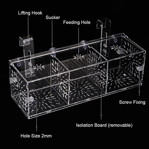 Transparent Acrylic Fish Tank Breeding Box, Aquarium Isolation Incubator, Separation Breeder Box for Fish, 30 cm x 10 cm x 10 cm