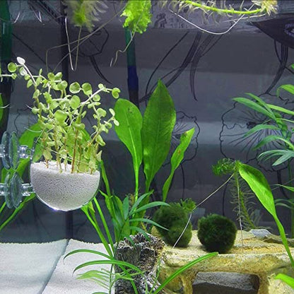 Aquarium Plant Decoration with 2 Suction Cups for Fish Tank, Glass