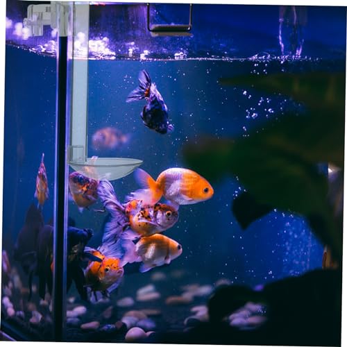 VANZACK 1set Hanging Fish Feeder Tool for Aquarium Acrylic Shrimp Feeder Easy Installation for Fish Tanks and Aquatic Environments