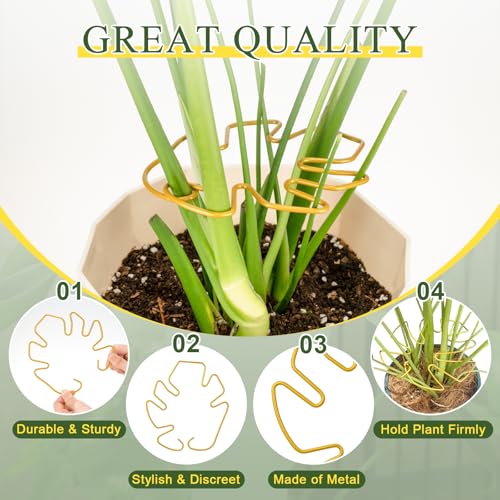 5PCS Monstera Plant Support, Metal Plant Supports Plant Stem Holder Durable Sturdy Plant Stabilizer for Indoor Plants Climbing Plants Outdoor Moss Pole Thriving Growth (Gold) - size: 5.9*5.9/5