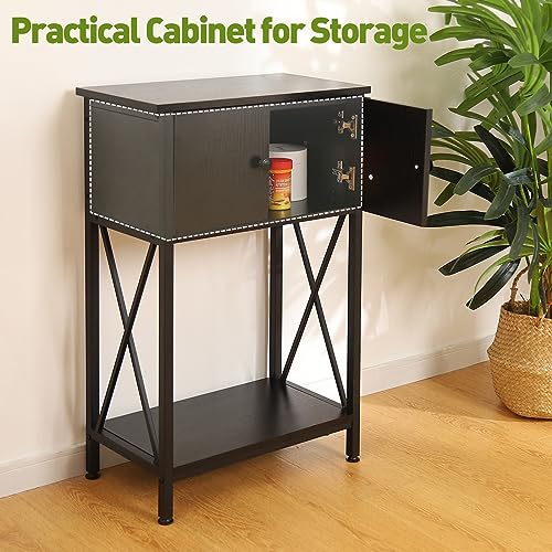 10 Gallon Fish Tank Stand with Cabinet, Double Aquarium Stand for 10 & 5 Gallon Fish Tank, Heavy Metal Stand with Stable Structure, Adjustable Table Feet & Anti-tilt Device - Black