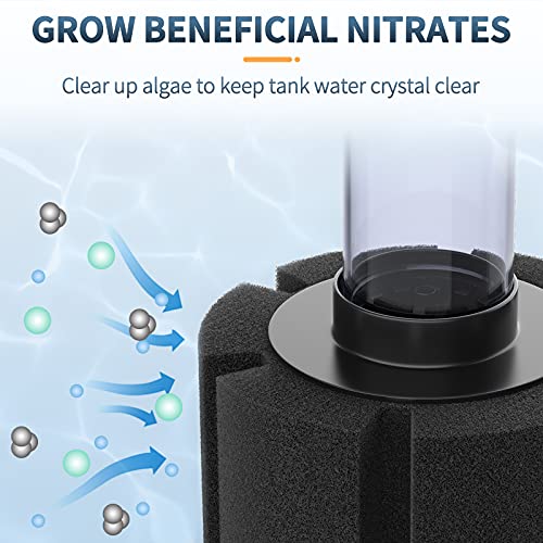 Pawfly Aquarium Air Pump with Nano Bio Sponge Filter Kit Air Control Valve Airline Tubing and Check Valve Accessories for 5-10 Gallon Small Fish Tank