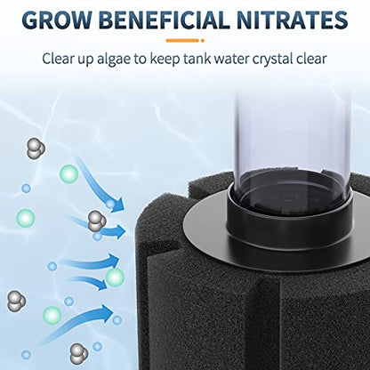 Pawfly Aquarium Air Pump with Nano Bio Sponge Filter Kit Air Control Valve Airline Tubing and Check Valve Accessories for 5-10 Gallon Small Fish Tank