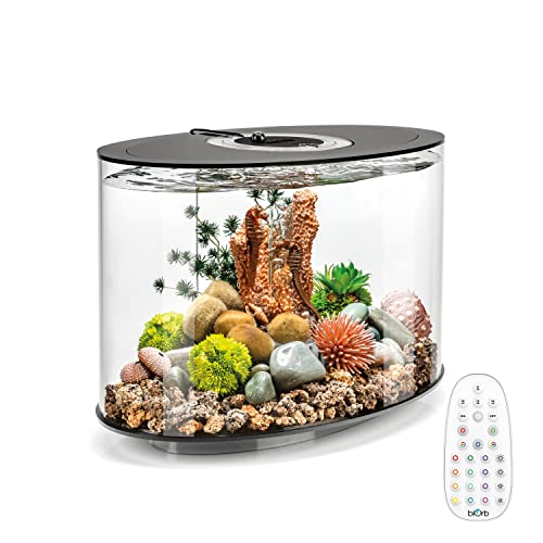 biOrb Loop 15 Acrylic 4-Gallon Aquarium with Multi-Color Remote-Controlled LED Lights Modern Compact Tank for Tabletop or Desktop Display, Black-Trimmed Tank