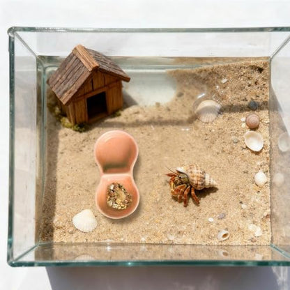 2 PCS Ceramic Hermit Crab Food Dish Reptile Water Dish Hermit Crab Water Bowl Aquarium Accessories for Bearded Dragon Gecko Lizard Snail Frog Turtle Tortoise