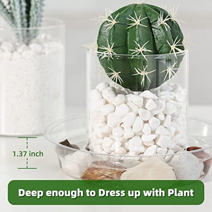20 Pack Plant Saucers (6 inch / 8inch / 10inch / 12inch) Clear Plant Saucers Flower Pot Tray Excellent for Indoor & Outdoor Plants - style: Multi-Size (6''+8''+10''+12'')