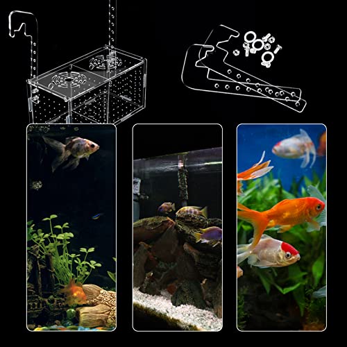Fish Breeding Box for Aquarium Acrylic Fish Tank Breeder Divider Box with Suction Cups Transparent Hatchery Hanging Incubator for Fishes Shrimp Clownfish and Guppy 7.2" x 3.5" x 3.3"