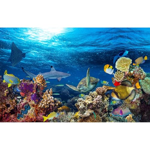 Under The Sea Aquarium Background Tropical Fish Colorful Coral Reef Panorama Terrarium Background Sea Turtle Shark Blue Sea Backdrops Underwater Life Seascape Fish Tank Backdrop Poster 24x12in - color: Undersea Blue, size: 24(W)x12(H)in