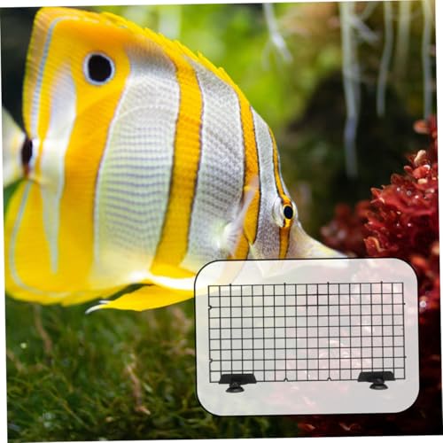 WOONEKY 1set Fish Tank Divider Plastic Grid for Fish Isolation and Separation Aquariums Fit Aquarium Partition Board Bottom Filtration Grid for Clean Water