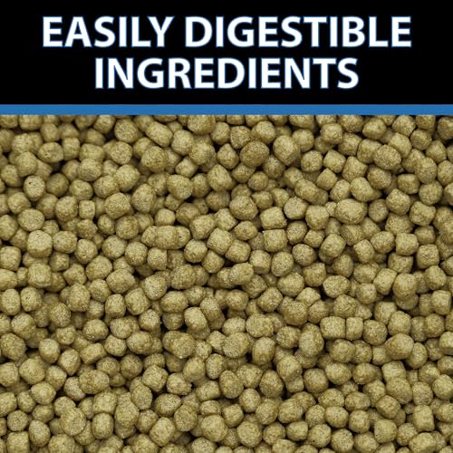 CrystalClear WheatGerm Fish Food—Protein-Rich Floating Pellets for Cold Freshwater Ponds, Ideal in Cooler Spring & Fall Seasons - 2.2 Pound Bucket