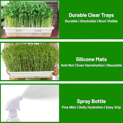 Acrylic Microgreens Growing Trays 3-Pack – Clear Hydroponic Seed Starter Kit with Silicone Mats & Spray Bottle – Reusable Plant Germination Trays for Vegetables, Wheatgrass, Cat Grass – Indoor Garden
