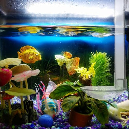 Abaodam 1Set Fish Tank Acrylic Shrimp Feeder Gadget with Cleaning Brush Transparent Design for Easy Viewing Suitable for Aquarium Convenient Installation