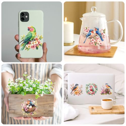 Peacoblue 18 Sheets Rub on Transfers for Crafts, Birds 3.6"x3.9" UV DTF Cup Wraps Waterproof Rub on Cold Transfers Stickers for Wood Glass Metal Cup Tumblers Mirrors Mugs Home Decor - style: Birds