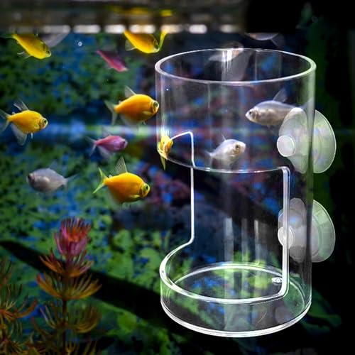 Fish Feeder Acrylic Dish Tray Fish Tank Prevent Water Turbulence Assembled Shrimp Feeder Worm Feeder Cherry Shrimp, Cylinder - color: Cylinder